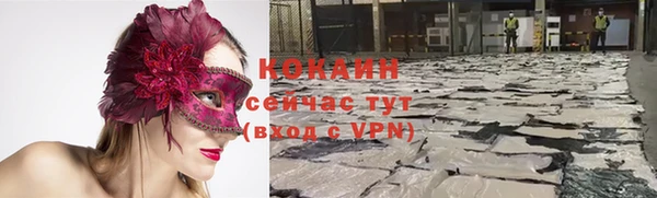 спиды Бородино