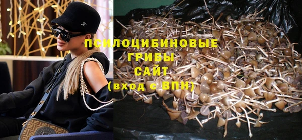 МДМА Богородицк