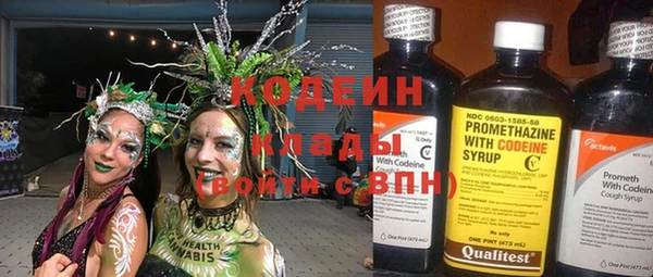 spice Богородск